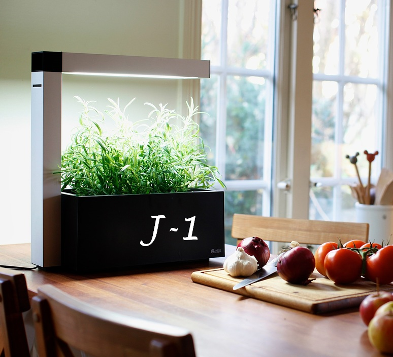 Inspiration Repas de Noel …